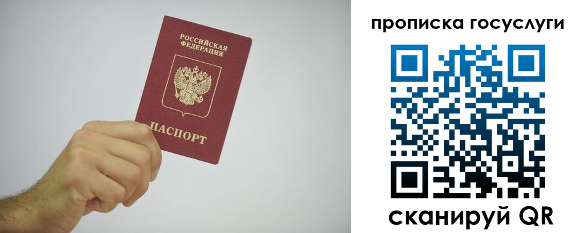 прописка законно в Ершове